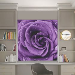 Римська штора з ланцюжковим карнизом Фотодрук Фіолетова троянда Блекаут