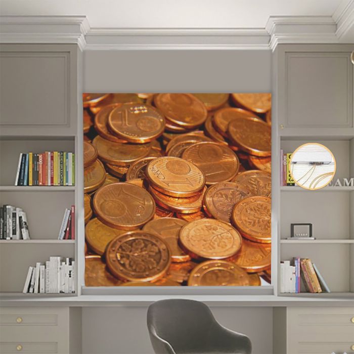 Римська штора DECOLIV Фотопечать Монеты  Блэкаут 270*170