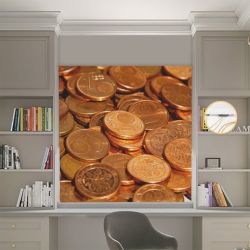 Римська штора з ланцюжковим карнизом Фотодрук Монети Блекаут