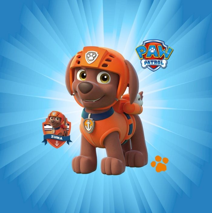 Римська штора DECOLIV Фотопечать Щенячий патруль  Блэкаут 160*170