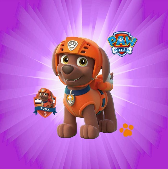 Римська штора з фотодруком Щенячий патруль 05 Блекаут