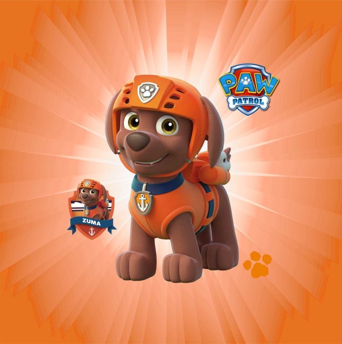 Римська штора з ланцюжковим карнизом Фотодрук Щенячий патруль 06 Блекаут