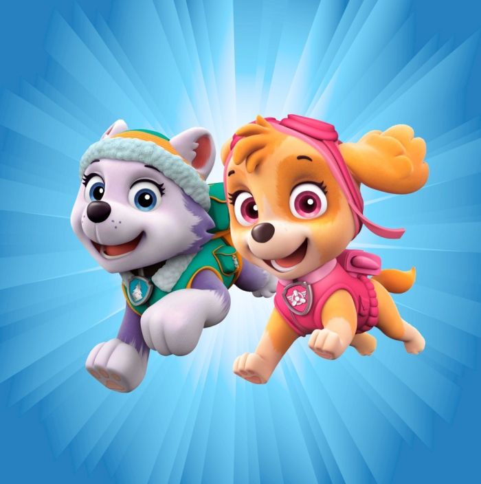 Римська штора з ланцюжковим карнизом Фотодрук Щенячий патруль 08 Блекаут