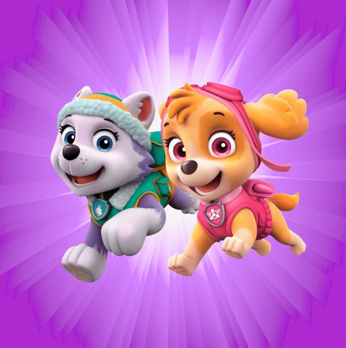 Римська штора з ланцюжковим карнизом Фотодрук Щенячий патруль 09 Блекаут