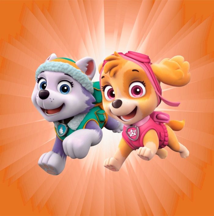 Римська штора DECOLIV Фотопечать Щенячий патруль  Блэкаут 120*170