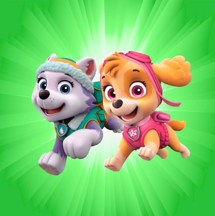 Римська штора з фотодруком Щенячий патруль 11 Блекаут