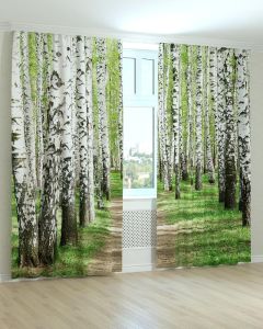 Фотоштори DECOLIV Пейзаж Принт 00-007 Блекаут