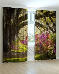 Фотоштори DECOLIV Пейзаж Принт 00-040