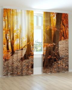 Фотоштори DECOLIV Пейзаж Принт 00-104