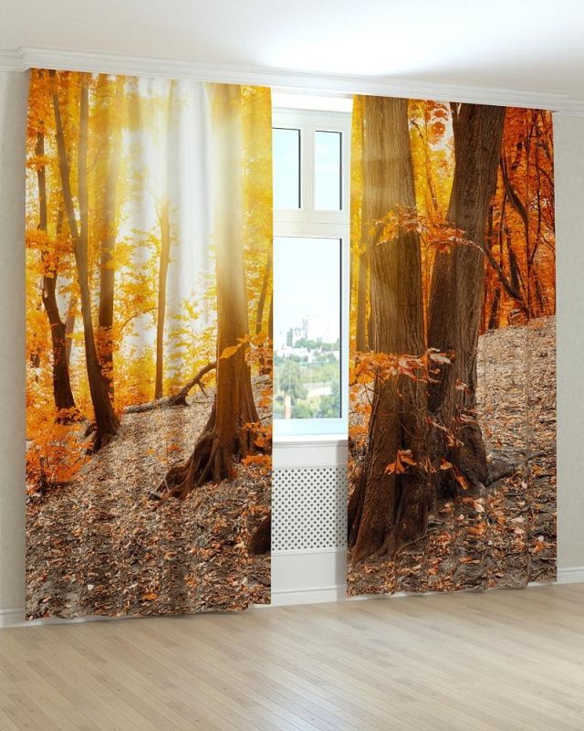 Фотоштори DECOLIV Пейзаж Принт 00-104 Блекаут