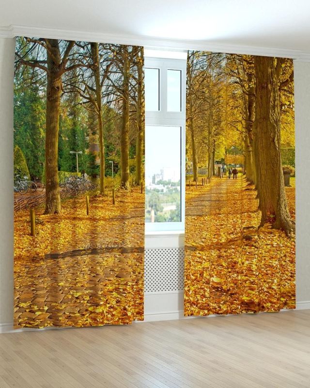 Фотоштори DECOLIV Пейзаж Принт 00-109 Блекаут