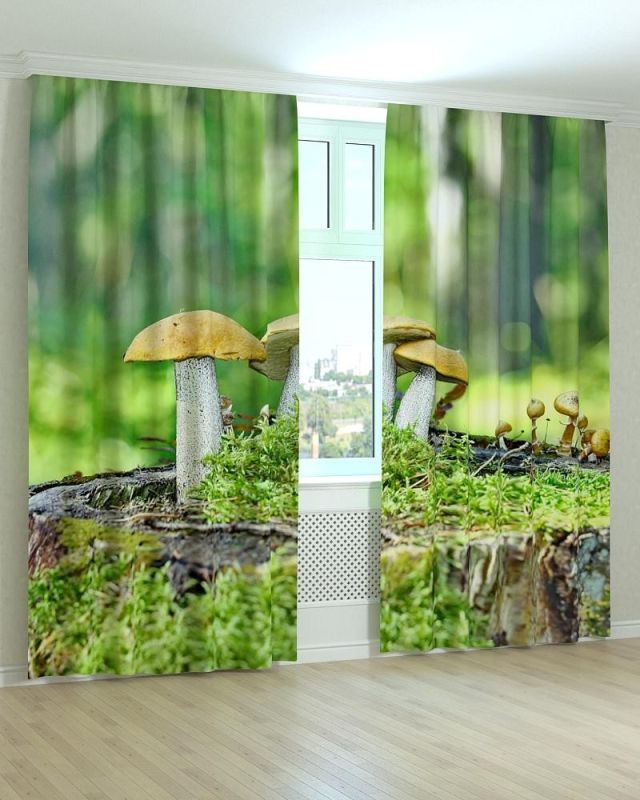 Фотоштори DECOLIV Квіти Принт 02-012 Блекаут