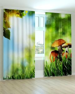 Фотоштори DECOLIV Квіти Принт 02-013