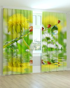 Фотоштори DECOLIV Квіти Принт 02-018