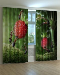 Фотоштори DECOLIV Квіти Принт 02-026