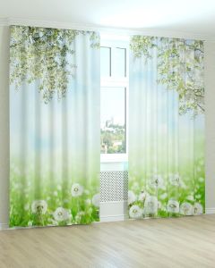 Фотоштори DECOLIV Квіти Принт 02-027