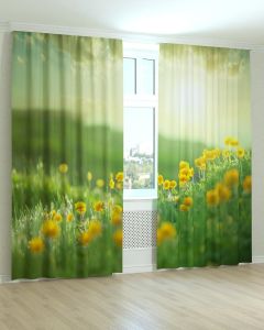 Фотоштори DECOLIV Квіти Принт 02-037