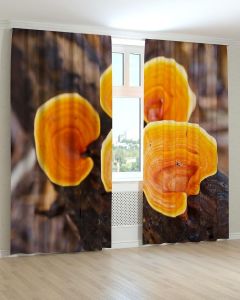 Фотоштори DECOLIV Квіти Принт 02-052 Тюль