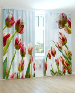 Фотоштори DECOLIV Квіти Принт 02-054