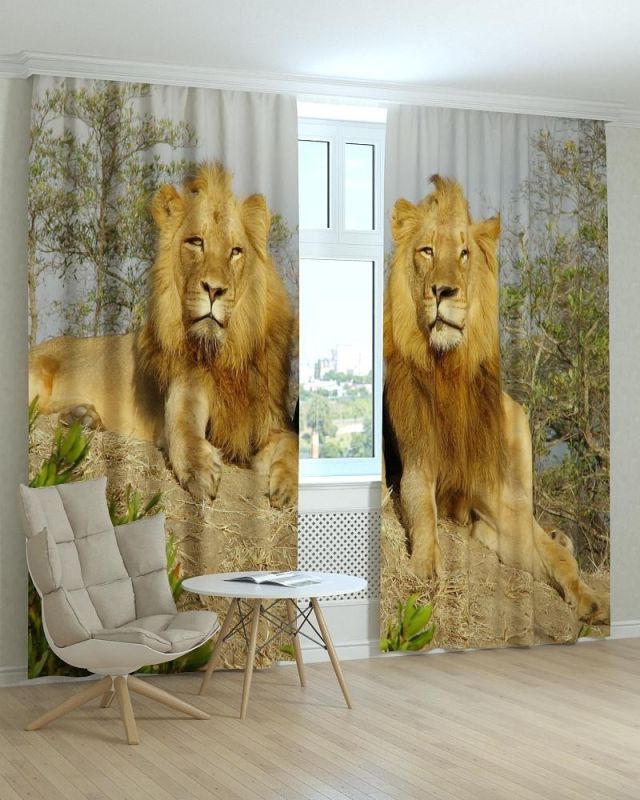 Фотоштори DECOLIV Тварини Принт 04-024