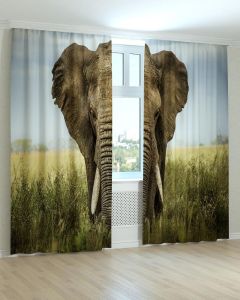 Фотоштори DECOLIV Тварини Принт 04-047