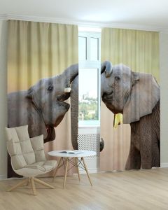 Фотоштори DECOLIV Тварини Принт 04-048