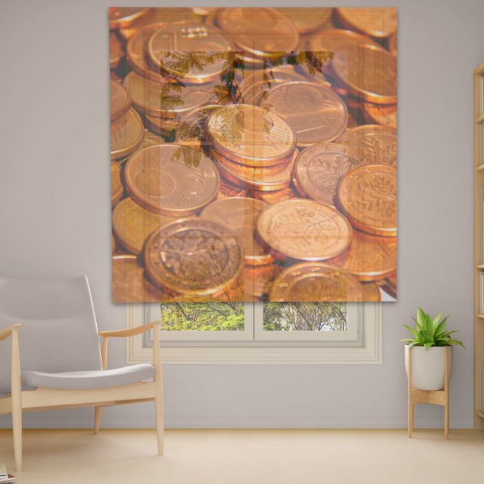 Римська штора DECOLIV Фотопечать  Тюль  120*170