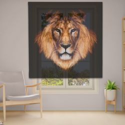 Римська штора з ланцюжковим карнизом Фотодрук 14-57 Тюль