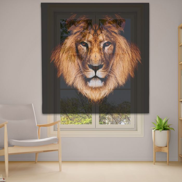 Римська штора з ланцюжковим карнизом Фотодрук 14-57 Тюль