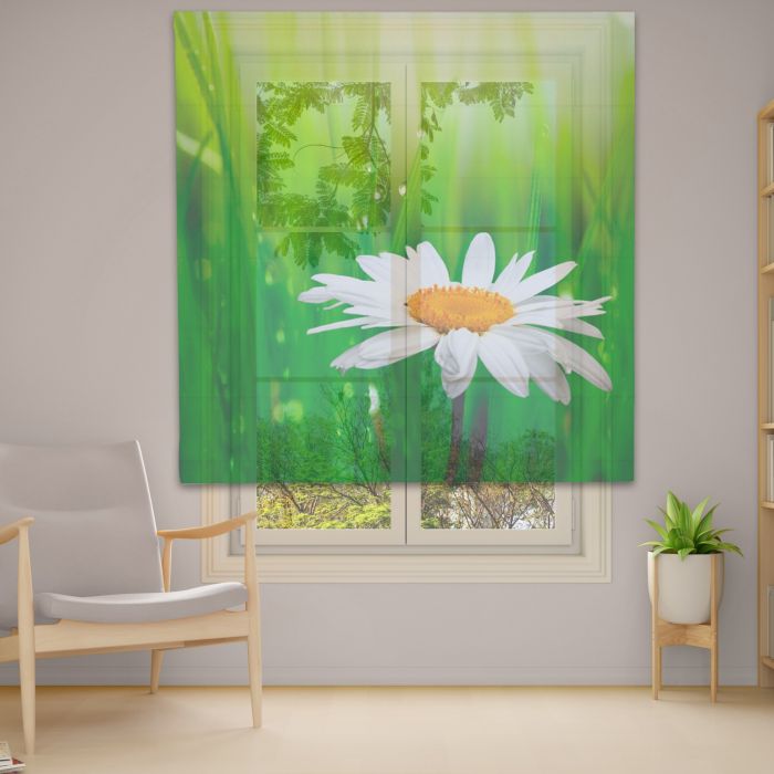 Римська штора з ланцюжковим карнизом Фотодрук 14-62 Тюль