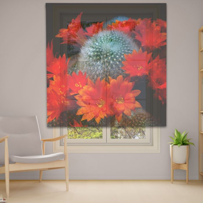 Римська штора з фотодруком Фотодрук 14-66 Тюль