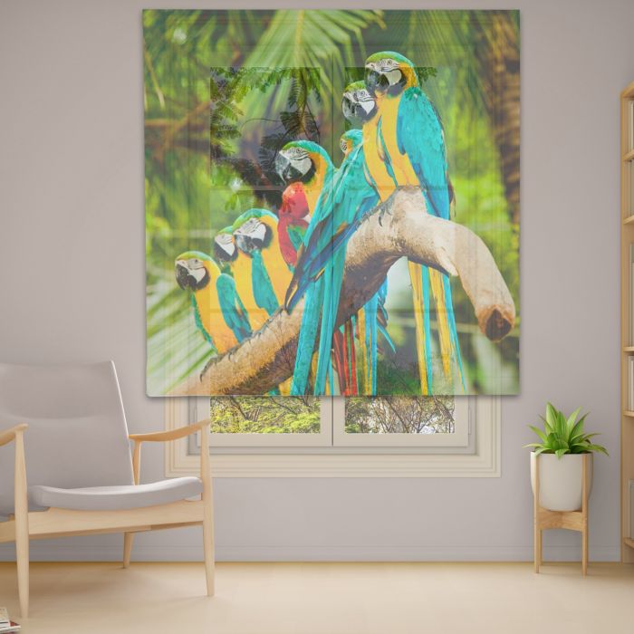 Римська штора DECOLIV Фотопечать  Тюль  220*170