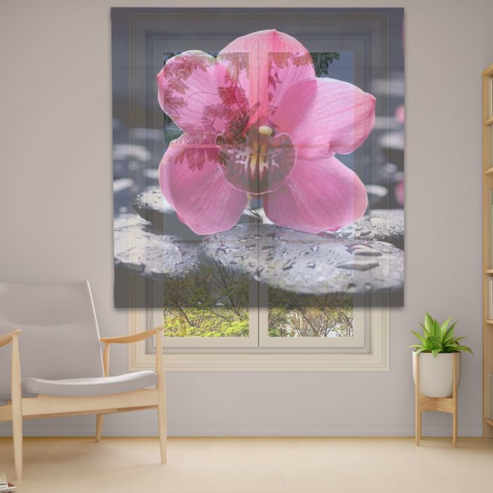 Римська штора DECOLIV Фотопечать  Тюль  60*170