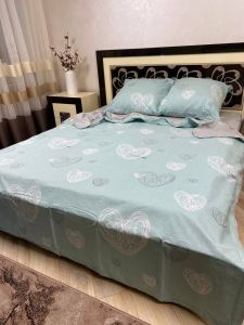 Комплект постільної білизни Преміум 01-007 Бязь