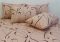 Комплект постільної білизни наволочки 50*70см Ранфорс R4047beige