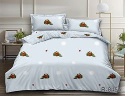 Комплект постільної білизни Ранфорс R845b 2