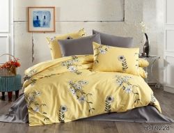 Комплект постільної білизни Ранфорс R-T9228 2