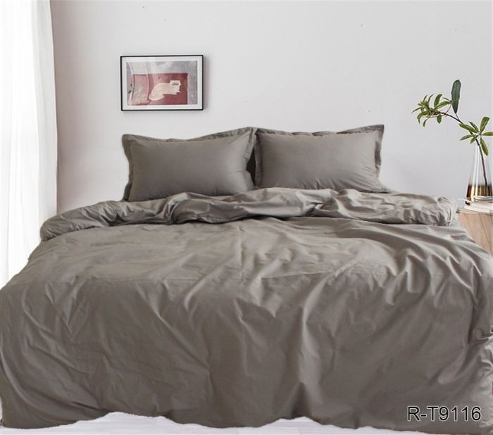 Комплект постільної білизни євро наволочки 50*70см Ранфорс R-T9116