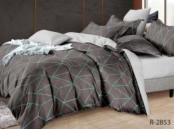 Комплект постільної білизни євро Ранфорс R-2853