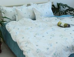 Комплект постільної білизни євро наволочки 50*70см Ранфорс R-T9141