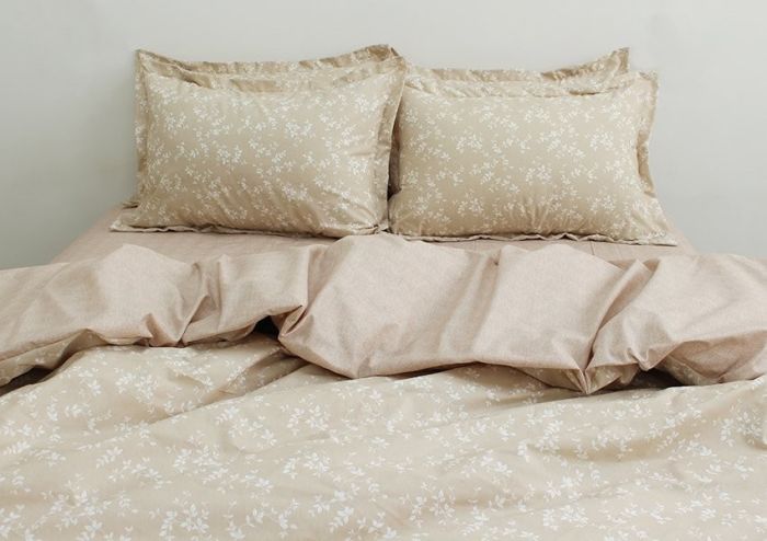 Комплект постільної білизни євро наволочки 50*70см Ранфорс R-T9189