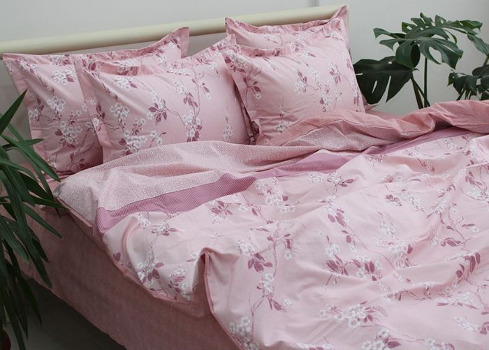 Комплект постільної білизни євро Ранфорс R-T9241