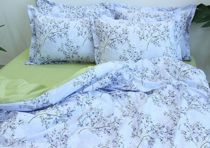 Комплект постільної білизни євро наволочки 50*70см Ранфорс R-T9251