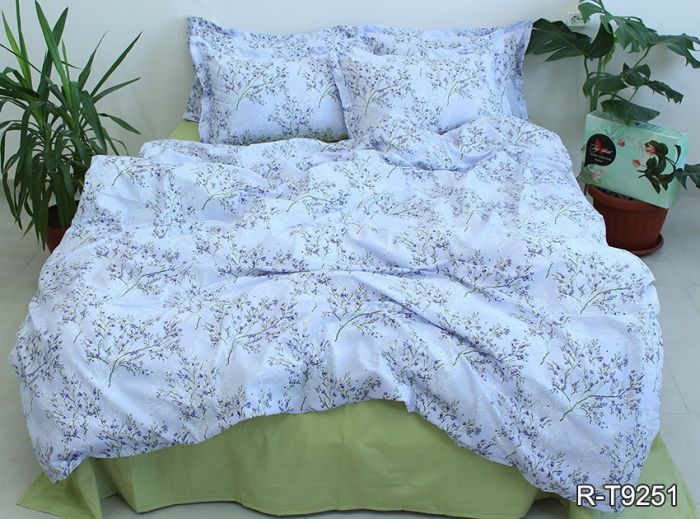 Комплект постільної білизни євро Ранфорс R-T9251