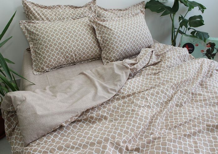 Комплект постільної білизни євро наволочки 50*70см Ранфорс R-T9257