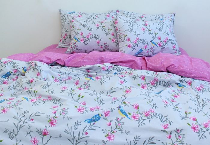 Комплект постільної білизни євро Ранфорс R-V8163