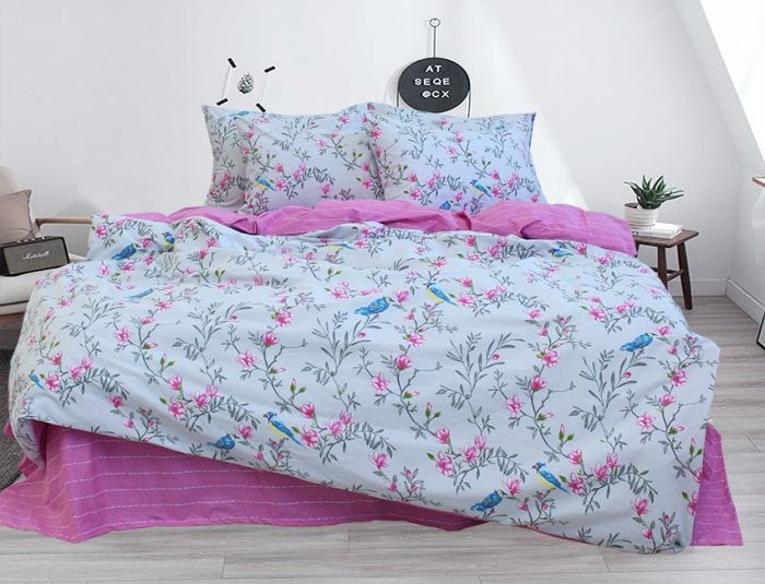 Комплект постільної білизни євро наволочки 50*70см Ранфорс R-V8163