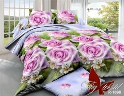 Комплект постільної білизни сімейний наволочки 50*70см Ранфорс R1698/2