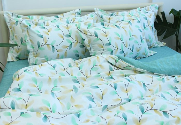 Комплект постільної білизни Ранфорс R-T9262