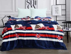 Плед велсофт (мікрофібра) 200*220 см VL0982